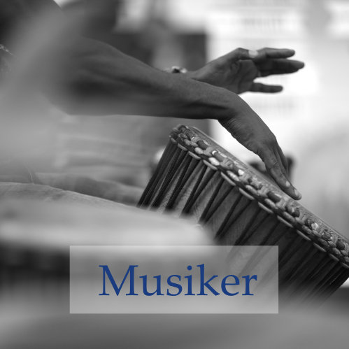 Musiker bei Dhara Music